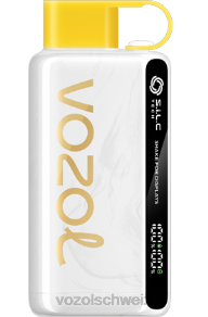 Ananas-Kokos-Eis VOZOL vape Schweiz J24V46 VOZOL STAR 9000/12000