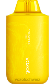 Ananaseis VOZOL vape preis J24V64 VOZOL STAR 6000/8000 v2