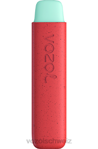 Apfel-Pfirsich VOZOL online kaufen J24V138 VOZOL STAR 550