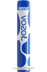 Blaubeersturm VOZOL kaufen Schweiz J24V390 VOZOL JOYGO 600