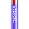 Brombeereis VOZOL vape kaufen J24V282 VOZOL NEON 800