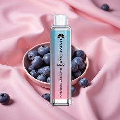 Hayati Pro Max 4000 Puffs Wegwerf-Vape Blaubeer-Kaugummi mit 1400mAh Akku & LED