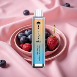 Hayati Pro Max 4000 Puffs Wegwerf-Vape Blaubeere Kirsche Cranberry mit 1400mAh Akku & LED