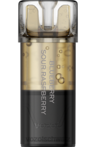 Heidelbeere, saure Himbeere VOZOL vape preis J24V194 VOZOL SWITCH Profi