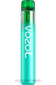 Herr Blau VOZOL review J24V251 VOZOL NEON 800