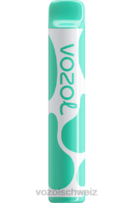Menthol VOZOL preis J24V387 VOZOL JOYGO 600