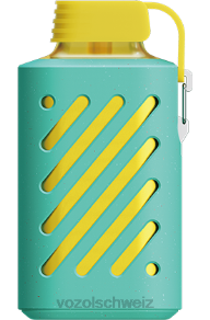 Miami-Minze VOZOL online kaufen J24V298 VOZOL GEAR 10000