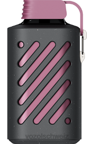 Passionsfrucht, Himbeere, Mandarine VOZOL kaufen Schweiz J24V300 VOZOL GEAR 10000