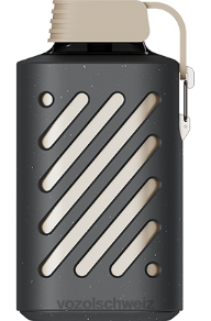 Pfirsich-Mango-Smoothie VOZOL vape kaufen J24V302 VOZOL GEAR 10000