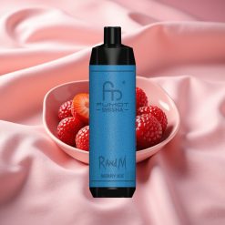 RandM Fumot Shisha 10000 Züge Disposable Vape Beere-Eis mit LED, 18ml, 850mAh, Typ-C