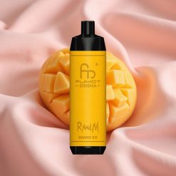 RandM Fumot Shisha 10000 Züge Disposable Vape Mango Eis mit 18ml E-Liquid, 850mAh & Typ-C