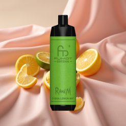 RandM Fumot Shisha 10000 Züge Disposable Vape Shisha Zitrone Minze mit LED, 18ml, 850 mAh, Typ-C