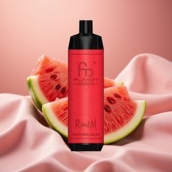 RandM Fumot Shisha 10000 Züge Disposable Vape Wassermelone Eis mit LED, 18ml, 850mAh