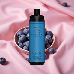 RandM Fumot Shisha 10000 Züge LED Typ-C 18ml Heidelbeer-Kaugummi Aroma