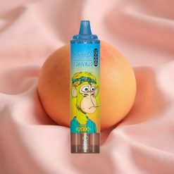 RandM Fumot Tornado 15000 Puffs 25ml 850mAh Typ-C LCD Pfirsich-Mango