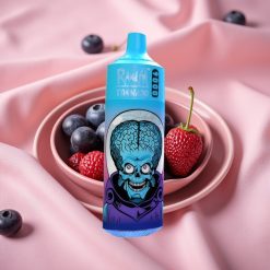 RandM Tornado 9000 Puffs Wiederaufladbar 850 mAh 18 mL Mesh Coil RGB Display Heidelbeere Kirsche Cranberry