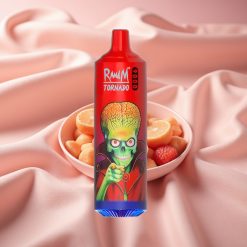 RandM Tornado 9000 Puffs Wiederaufladbar 850 mAh 18 mL Mesh Coil RGB Display Lush Ice (Erfrischende Minze)