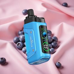 Razz Bar 45000 Puffs Wegwerf-Vape Blaubeer-Eis mit 1,0 Ohm Mesh Coil & Typ-C-Ladung