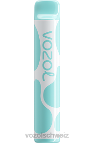 Regenbogenbonbons VOZOL review J24V391 VOZOL JOYGO 600