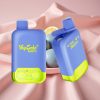 Vapsolo Twins 20000 Puffs Einweg-Vape Blaue Himbeerlimonade & Zitronenlimette 40ml Typ-C