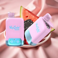 Vapsolo Twins 20000 Puffs Wegwerf-Vape Schwarz-Eis Drachenfrucht-Erdbeere & Himbeer-Wassermelone Typ-C 40ml