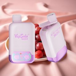 Vapsolo Twins 20000 Puffs Wegwerf-Vape Traube Eis & Erdbeer Kiwi 40ml 20/50mg Typ-C