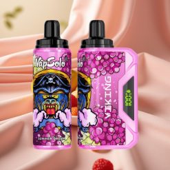VapSolo VIKING 12000 Puffs Wegwerf-Vape Sommertraum 22ml Typ-C LED 20/50 mg/ml