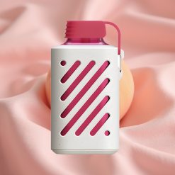 VOZOL GEAR 10000 Wegwerf-Vape Pfirsich-Eis 20ml 50mg/ml VAMT Mesh Coil 500mAh