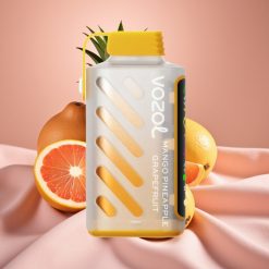 VOZOL Gear Power 20000 Züge S.i.L.C. Tech Dual Mesh Coil Vollbild-Display 20mL 5% Mango Ananas Grapefruit