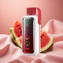 VOZOL Star 20000 Puffs 2.2" HD Spiegelbild Dual Mesh 650mAh Wassermelone Eis