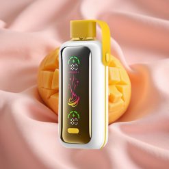 VOZOL Star 20000 Puffs Mango Eis HD Spiegelbildschirm Dual Mesh 650mAh
