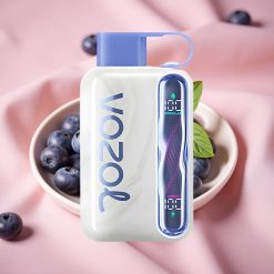 VOZOL STAR 40000 Puffs Einweg-Vape Heidelbeer-Minze (1000mAh, Typ-C, 20/50mg/ml)