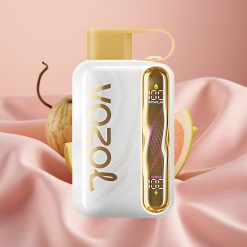 VOZOL STAR 40000 Puffs Einweg-Vape Melonen-Eis 1000mAh Typ-C 20/50mg/ml