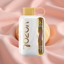 VOZOL STAR 40000 Puffs Einweg-Vape Melonen-Kaugummi 1000mAh Typ-C 20/50mg/ml
