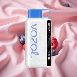 VOZOL STAR 9000/12000 Wegwerf-Vape Blaue Himbeere Eis mit 650mAh, 30% schnellere Aufladung, bis zu 9000/1200 Züge
