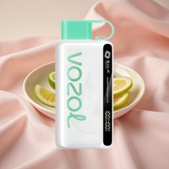 VOZOL STAR 9000/12000 Wegwerf-Vape Erfrischende Minze mit 650mAh, S.i.L.C TECH & Schüttel-Display