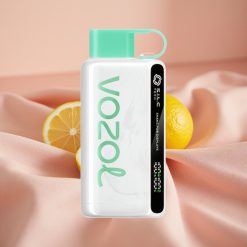 VOZOL STAR 9000/12000 Wegwerf-Vape Zitronen-Minze mit 650mAh, S.i.L.C TECH, 30% schnelleres Laden