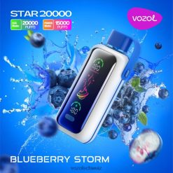 Vozol Vape Kaufen Blaubeersturm LZ88TX5 VOZOL STAR 20000