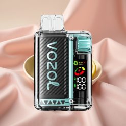 VOZOL Vista 20000 Züge wiederverwendbares Kit mit OLED-Display, 650mAh Akku, 2% Nikotin, Miami Minze