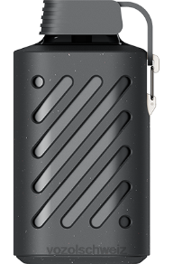 Zedernbeeren VOZOL vape Schweiz J24V286 VOZOL GEAR 10000